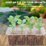 10 Set 12 Hole Plant Seed Grow Box Propagation Nursery Seedling Starter Tray - Front View