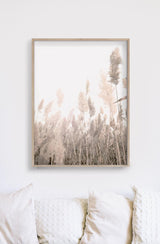 Wall Art 60cmx90cm Pampas Grass 2 Sets Wood Frame Canvas - Top-Down View