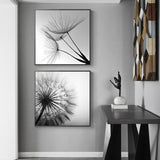 Black and White Dandelion Canvas Art Set - 40cm x 40cm Framed Prints - Front View