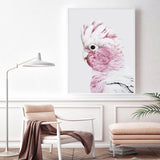 Wall Art 80cmx120cm Pink Galah White Frame Canvas - Front View