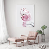 Wall Art 80cmx120cm Pink Galah White Frame Canvas - Top-Down View