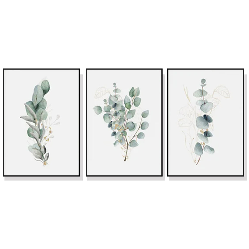 Eucalyptus Plant Canvas Wall Art Set - 70x100cm with Black Floating Frames (3 Pieces)