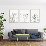 Lavender Eucalyptus Canvas Art Set - 3 Framed Prints (80cmx120cm) - Top-Down View