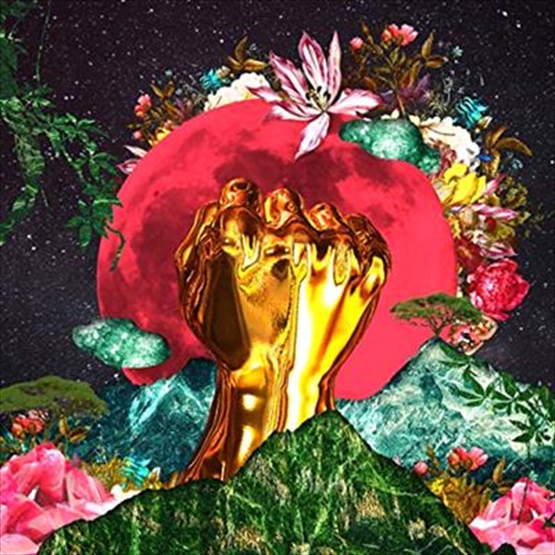 In A Galaxy - Mushonga, Rina Cd Album