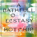A Bath Full Of Ecstasy - Hot Chip Cd Album