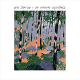 Changing Wilderness - Stratton, Will Cd Album