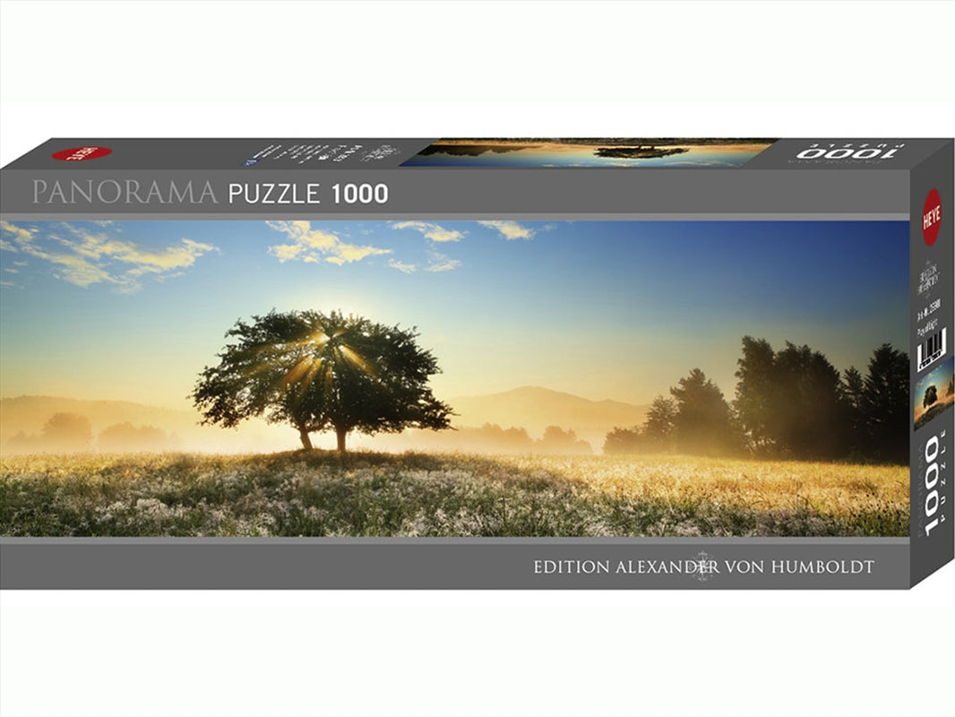 Panorama, Play Of Light 1000 Piece