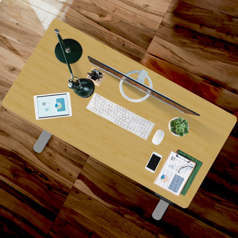 FORTIA Sit To Stand Up Standing Desk 120x60cm 72-118cm Electric Height Adjustable 40kg Rated White Oak Style/Silver Frame