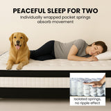 KINGSTON SLUMBER RelaxMax 31cm King Single Mattress, Medium, Euro Top, 5-Zone, Pocket Spring, Knitted Fabric - Low Angle