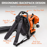 MTM 30CC Backpack Petrol Leaf Blower 2 Stroke Commercial Garden Yard Outdoor - Rear View