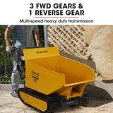 Baumr-AG Motorised Tracked Wheelbarrow Dumper, Briggs & Stratton CR950 Petrol Engine, 500kg Capacity - Low Angle