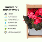 PLANTCRAFT 12 Pod Indoor Hydroponic Growing System with Bamboo Frame & LED Lights - Front View