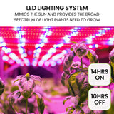 PLANTCRAFT 12 Pod Indoor Hydroponic Growing System with Bamboo Frame & LED Lights - 45-Degree Angle