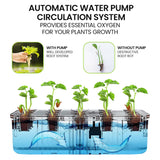 PLANTCRAFT 12 Pod Indoor Hydroponic Growing System with Bamboo Frame & LED Lights - Close-Up Angle