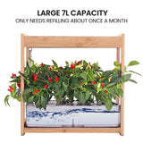 PLANTCRAFT 12 Pod Indoor Hydroponic Growing System with Bamboo Frame & LED Lights - Low Angle