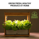 PLANTCRAFT 12 Pod Indoor Hydroponic Growing System with Bamboo Frame & LED Lights - Extra Image