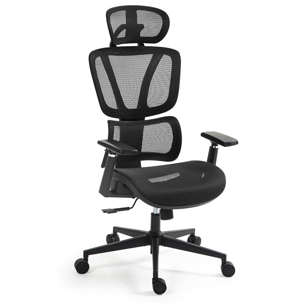 Fortia Ergonomic Office Desk Chair Coolmesh Fabric Adjustable Lumbar Support Headrest Armrest and Recline Black Mesh/Black Frame