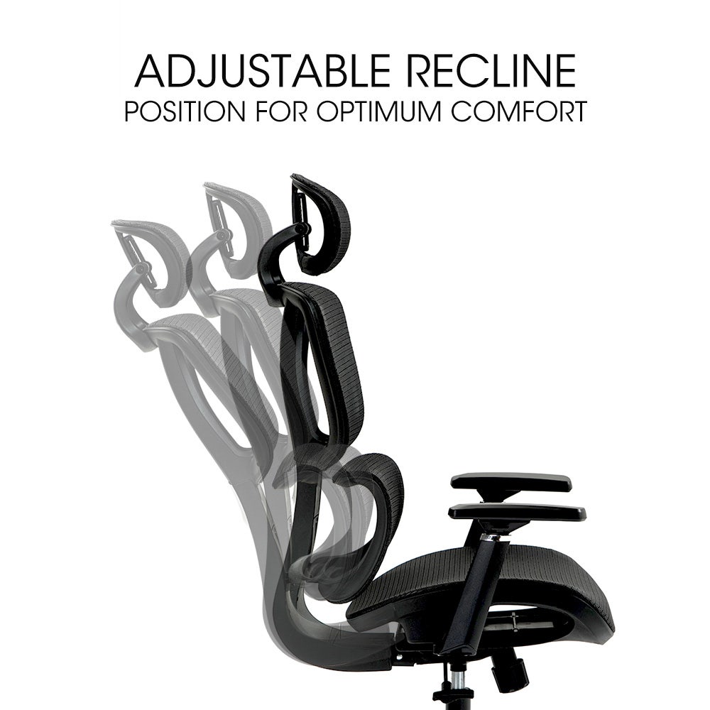 Fortia Ergonomic Office Desk Chair Coolmesh Fabric Adjustable Lumbar Support Headrest Armrest and Recline Black Mesh/Black Frame