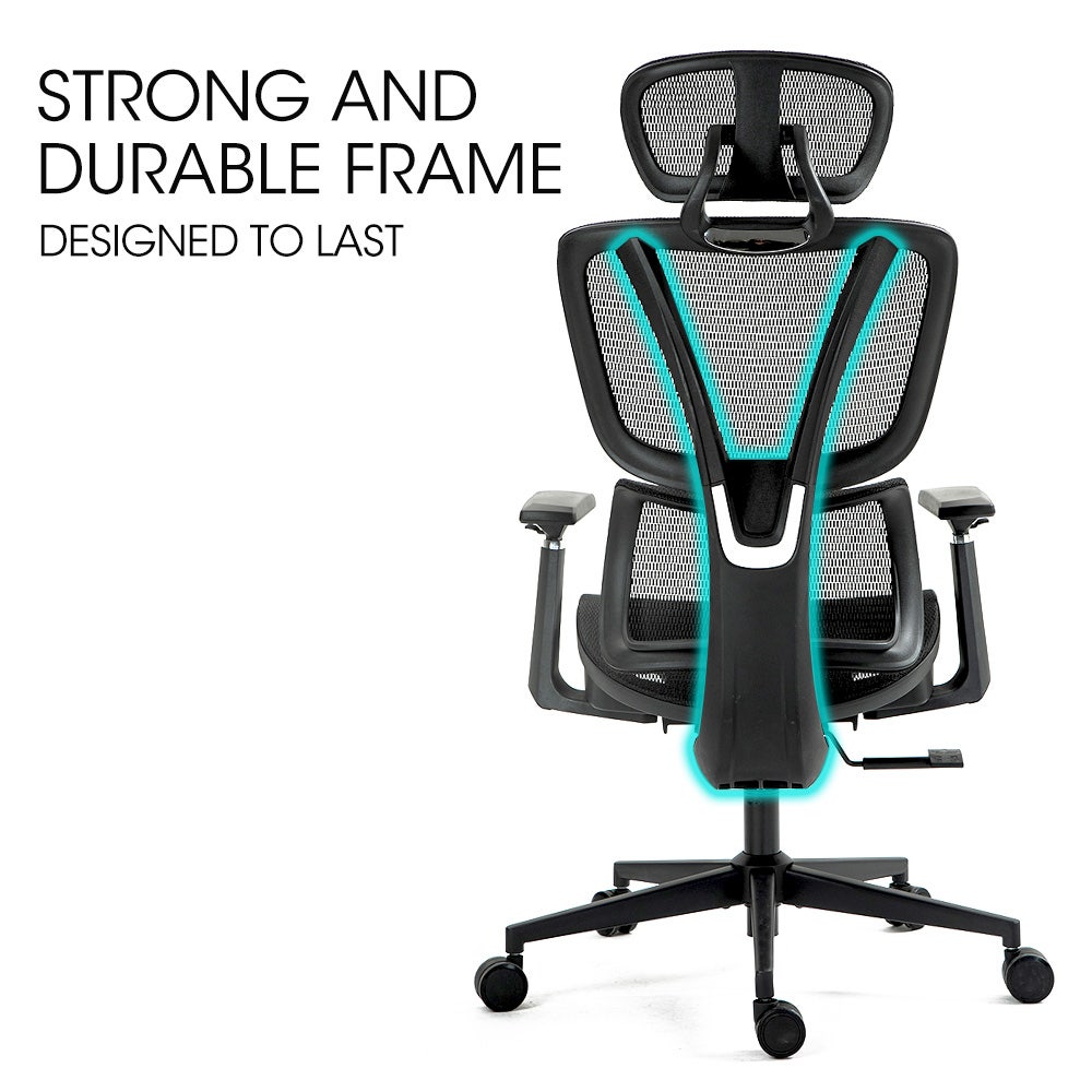 Fortia Ergonomic Office Desk Chair Coolmesh Fabric Adjustable Lumbar Support Headrest Armrest and Recline Black Mesh/Black Frame