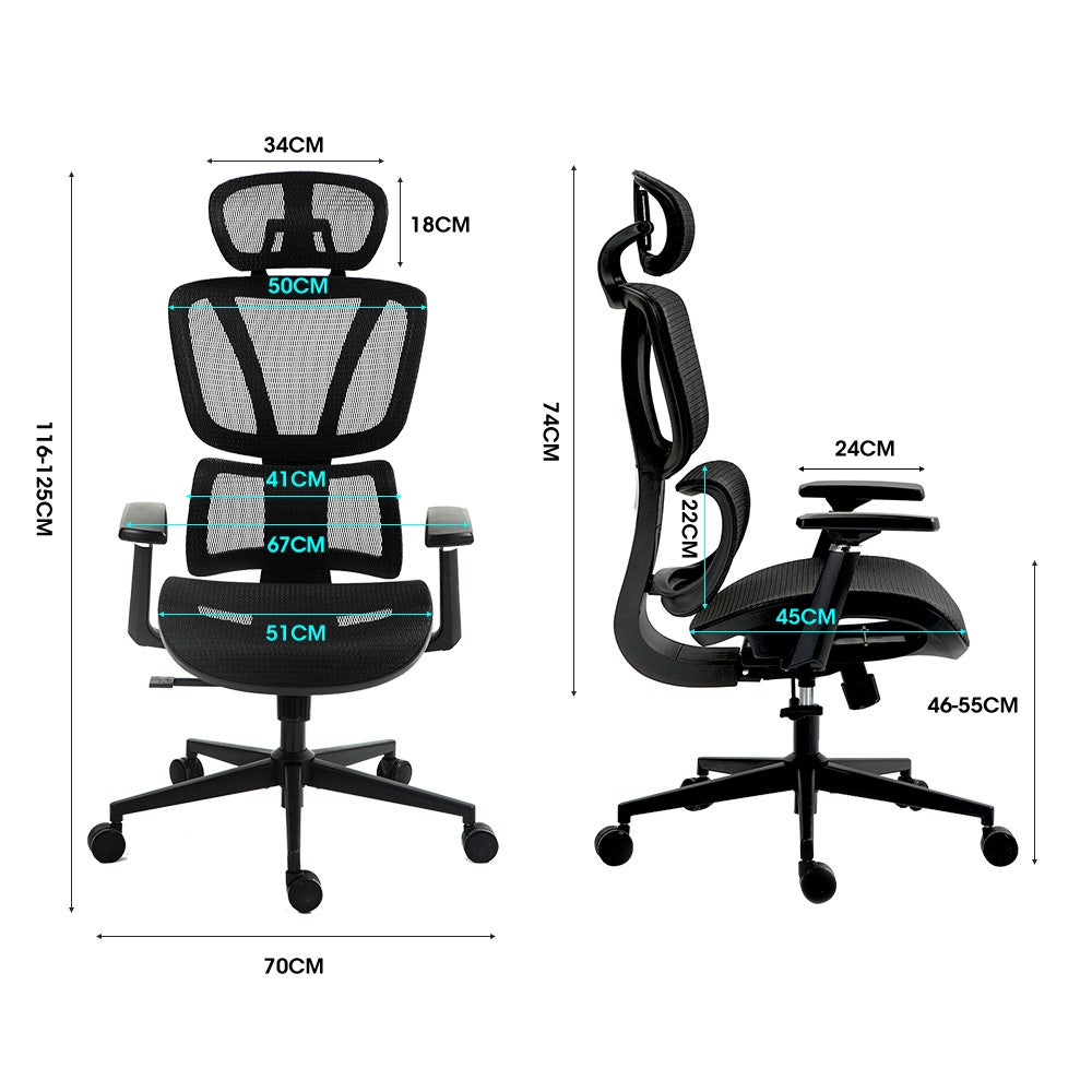 Fortia Ergonomic Office Desk Chair Coolmesh Fabric Adjustable Lumbar Support Headrest Armrest and Recline Black Mesh/Black Frame