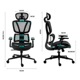 Fortia Ergonomic Office Desk Chair Coolmesh Fabric Adjustable Lumbar Support Headrest Armrest and Recline Black Mesh/Black Frame - Extra Image