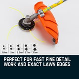 MTM 62cc 7in1 Brush Cutter Garden Multi-Tool , Pole Hedge & Line Trimmer, Bullhorn Handle, 12 Tree Trimming Pruning - Extra Image