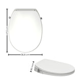 Amirra Non-electric Bidet Seat (Anti-Siphon) - Close-Up Angle