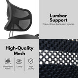 EKKIO Adjustable Ergonomic Office Kneeling Chair with Backrest (Black) - Close-Up Angle