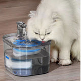 FLOOFI 2L Pet Water Fountain for Cats and Small Dogs - Top-Down View