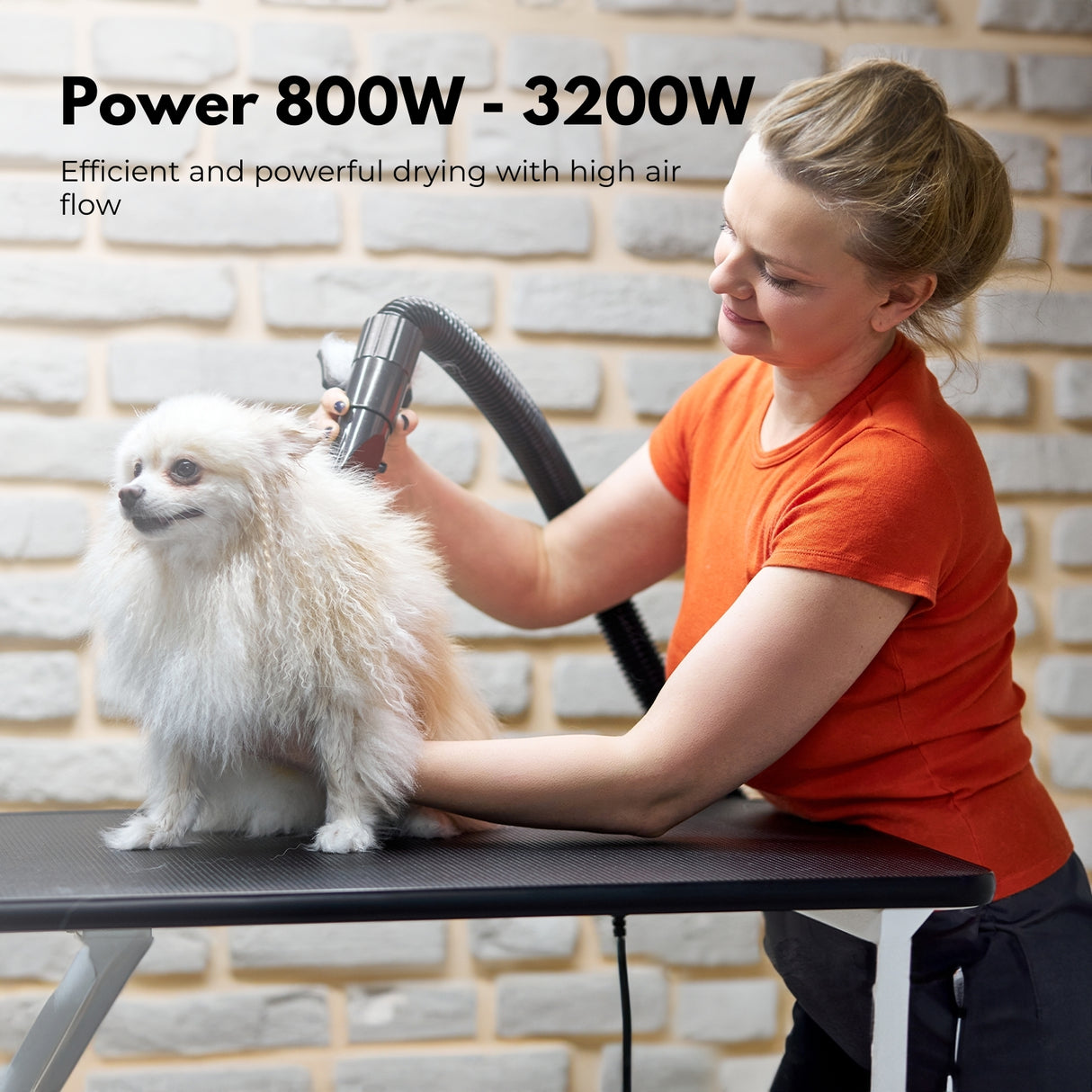 FLOOFI Professional Pet Grooming Hair Dryer with LCD Display (Black)