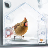 NOVEDEN Window Bird Feeder with Removable Tray Drain Holes and 4 Suction Cups (Transparent) - Extra Image