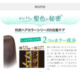 [6-PACK] Rishiri Kelp Colour Treatment Hair Dye, Dark Brown 200g - Top-Down View