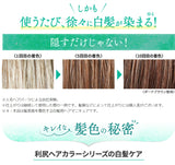 [6-PACK] Rishiri Kombu White Hair Hair Dye Stick 20g Dark Brown - Top-Down View