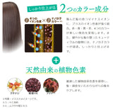 [6-PACK] Rishiri Kombu White Hair Hair Dye Stick 20g Dark Brown - 45-Degree Angle
