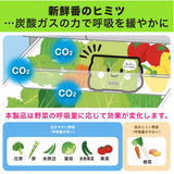 [6-PACK] S.T. Japan Refrigerate Vegetables for Long-term Preservation - Side View