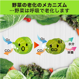 [6-PACK] S.T. Japan Refrigerate Vegetables for Long-term Preservation - Top-Down View