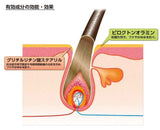 [6-PACK] Kaminomoto Medicated Hair Conditioner 300ml - Top-Down View