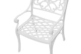 MARCO ALUMINIUM CHAIR  (one pair) - Side View