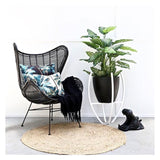 Cushion Cover-With Piping-Palm Trees Black-60cm x 60cm - Front View