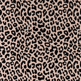 Cushion Cover-With Black Piping-Jungle Peach-35cm x 50cm - Top-Down View