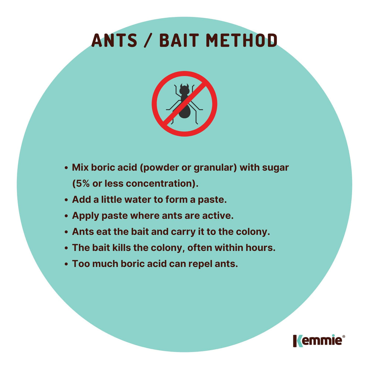 400g Boric Acid Powder High Purity Fully Soluble Granule Pest Ant Cockroaches