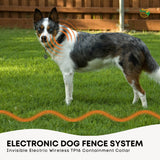 Electronic Dog Fence System -Invisible Electric Wireless TP16 Containment Collar - Front View