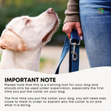 Electronic Dog Fence System -Invisible Electric Wireless TP16 Containment Collar - Rear View