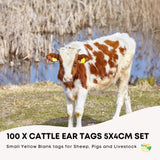 100x Cattle Ear Tags 5x4cm Set - Small Yellow Blank Sheep Pig Livestock Label - Front View