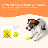 Hyper Fetch Mini Dog Ball Launcher - Automatic Interactive Indoor Small Pet Toy - Top-Down View