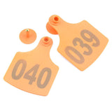1-100 Cattle Number Ear Tag 6x7cm Set - Medium Orange Cow Sheep Livestock Label - Front View