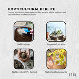 50L Organic Perlite Coarse Premium Soil Expanded Medium Plants Hydroponics - Rear View