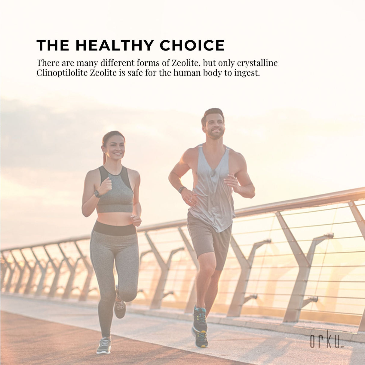 1.3kg Ultra-Fine Micronised Clinoptilolite Zeolite Powder - Volcamin Mineral Supplement