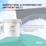 Kemmie 1Kg Boric Acid Powder 99.9% Pure Tub - Soluble Orthoboric Acid H3BO3 - Top-Down View