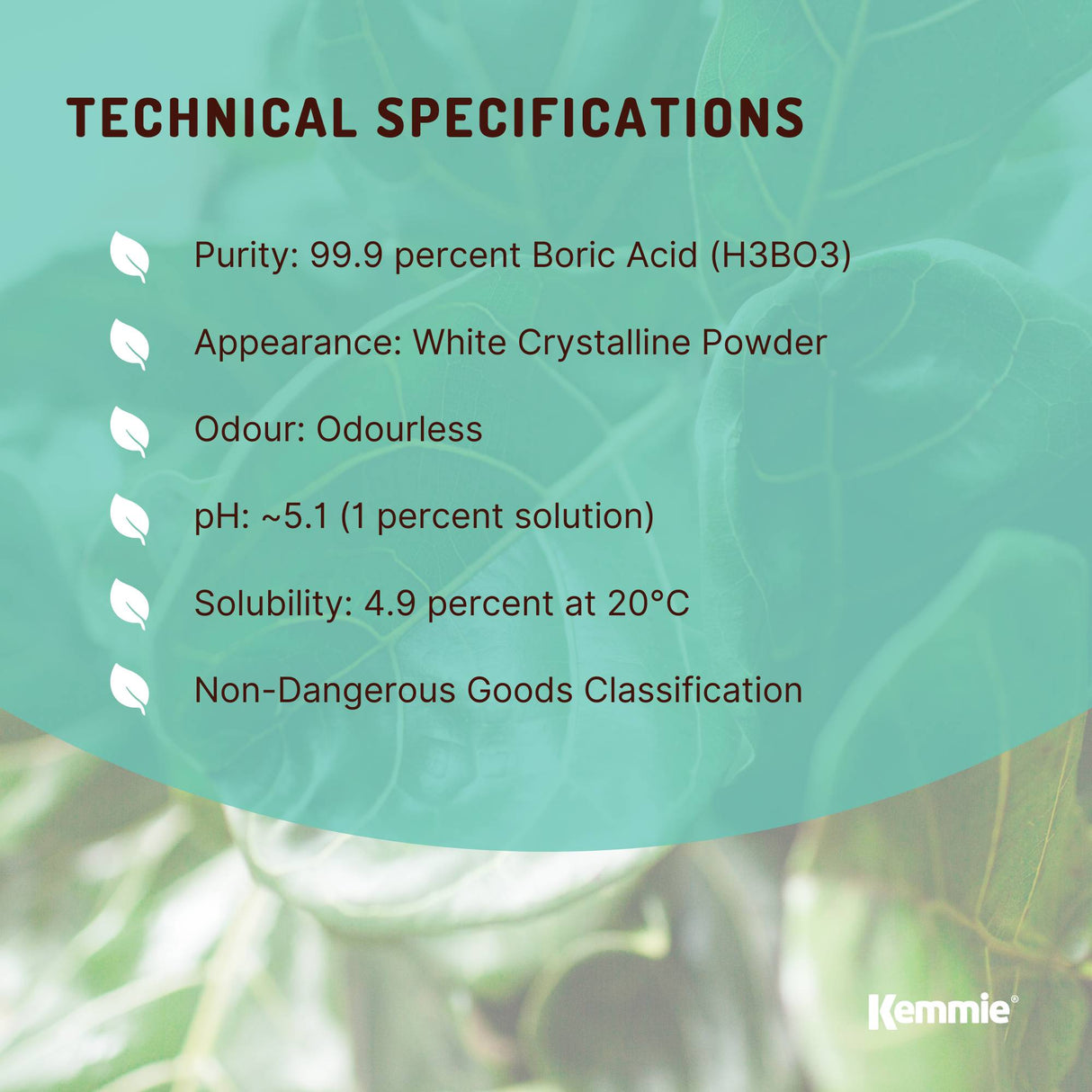 Kemmie 1Kg Boric Acid Powder 99.9% Pure Tub - Soluble Orthoboric Acid H3BO3